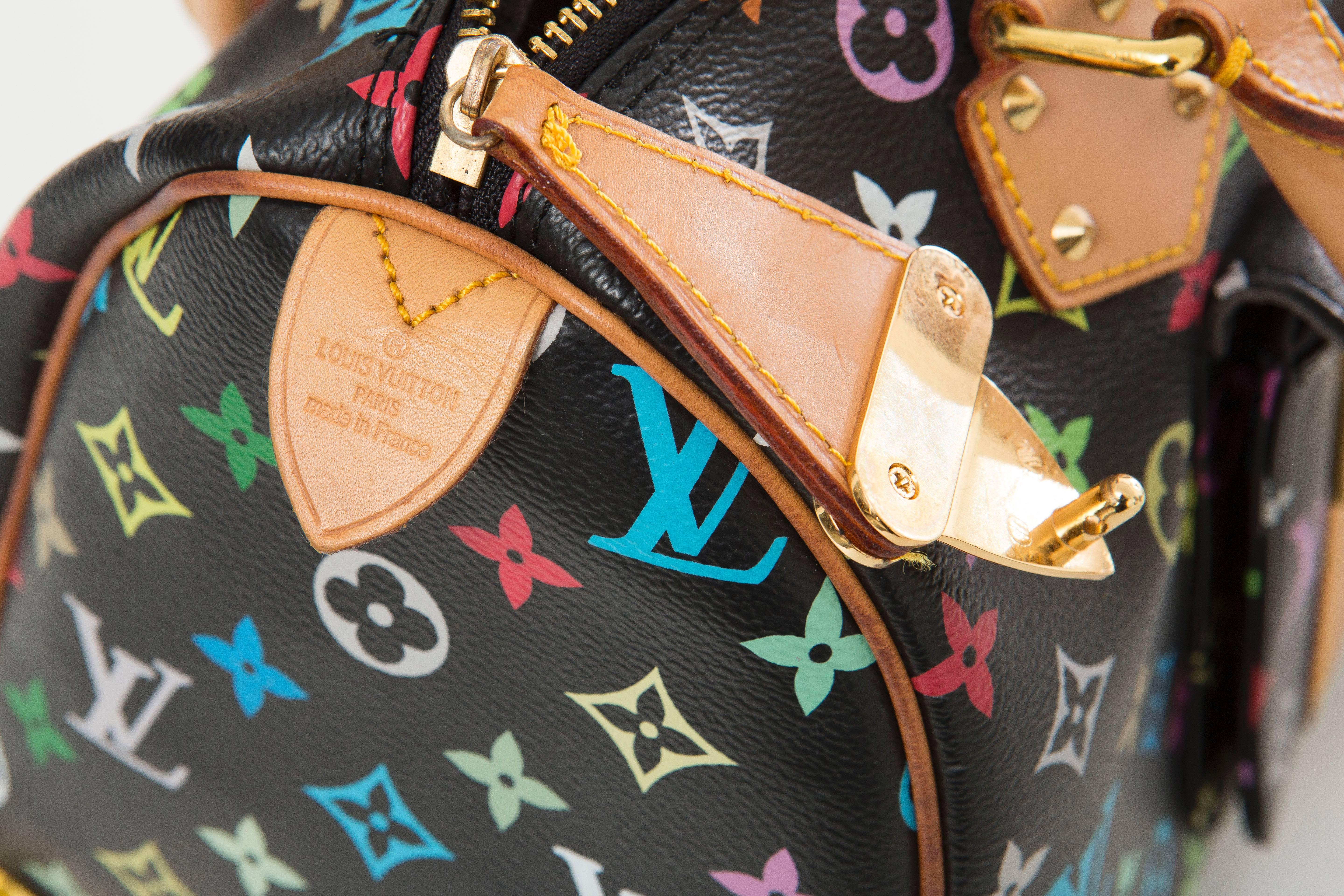Louis Vuitton Limited Edition Takashi Murakami Collection Speedy 30 Hand Bag For Sale 2