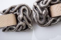 Roberto Cavalli Python Belt With Adjustable Snake Buckle