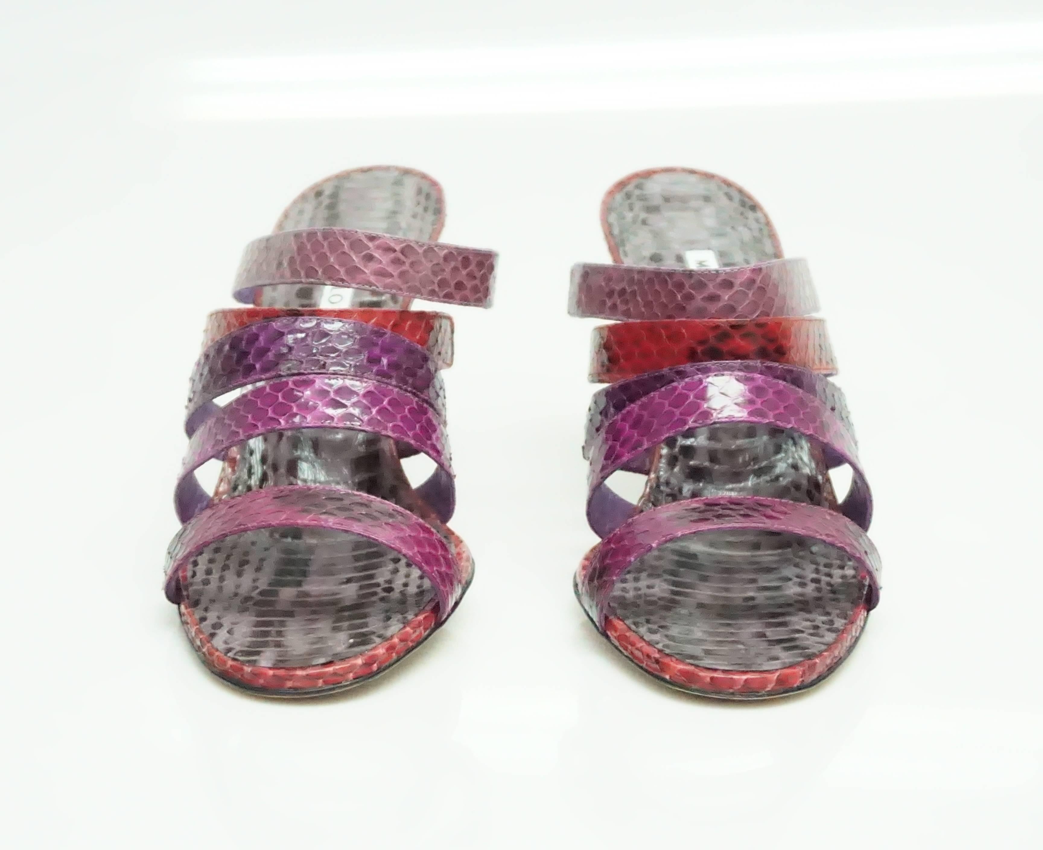 Gray Manolo Blahnik Purple & Red Strappy Python Sandal - 38 - NEW/NEVER WORN