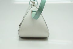 Christian Dior Car Purse