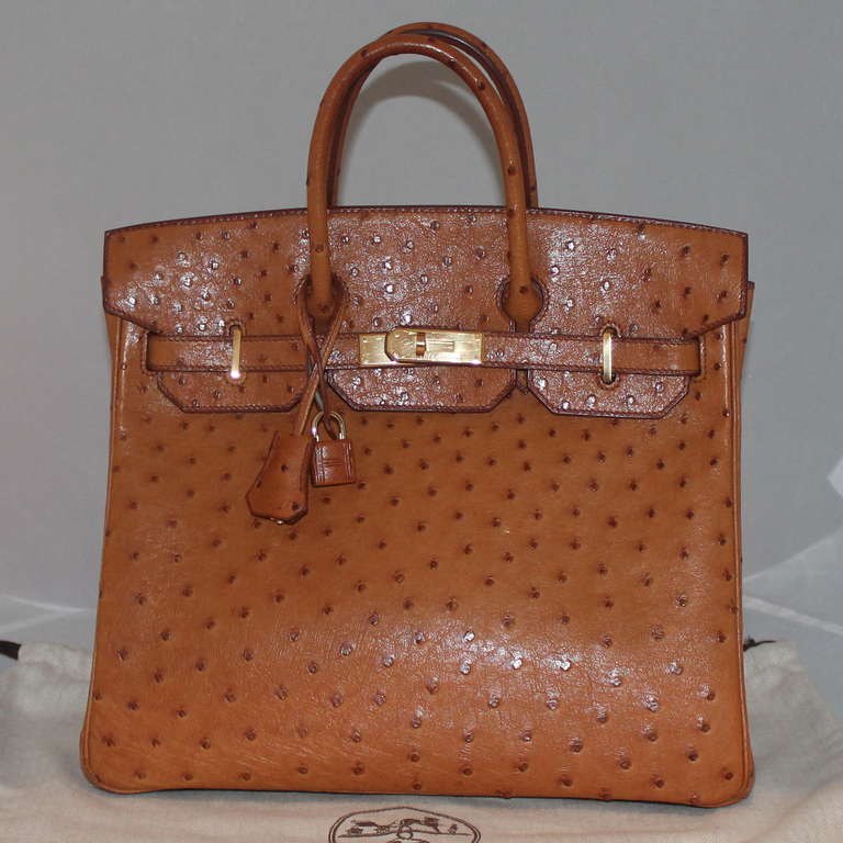 Hermès Ostrich HAC Birkin 32