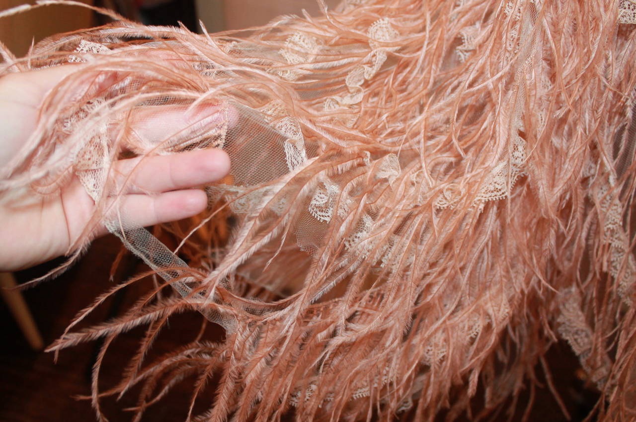 Oscar de la Renta Blush Lace Beaded Gown with Ostrich Feathers & Shawl - M 1