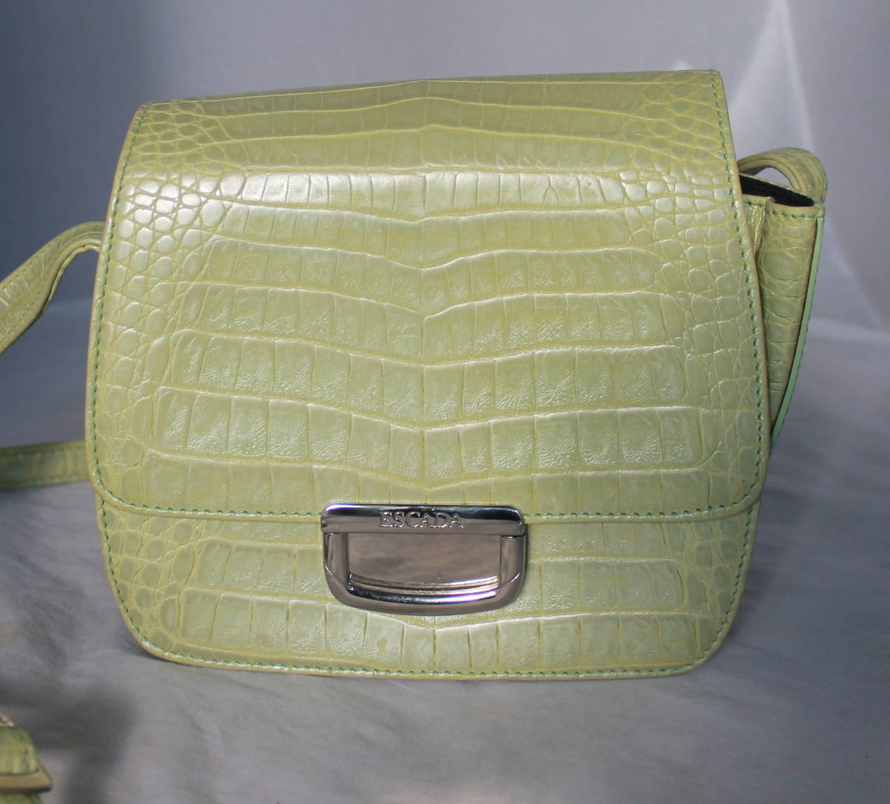 Escada Pearlized Green Croc Embossed Leather Handbag. This bag is in excellent condition and can be a short crossbody bag. 

Height- 5.5