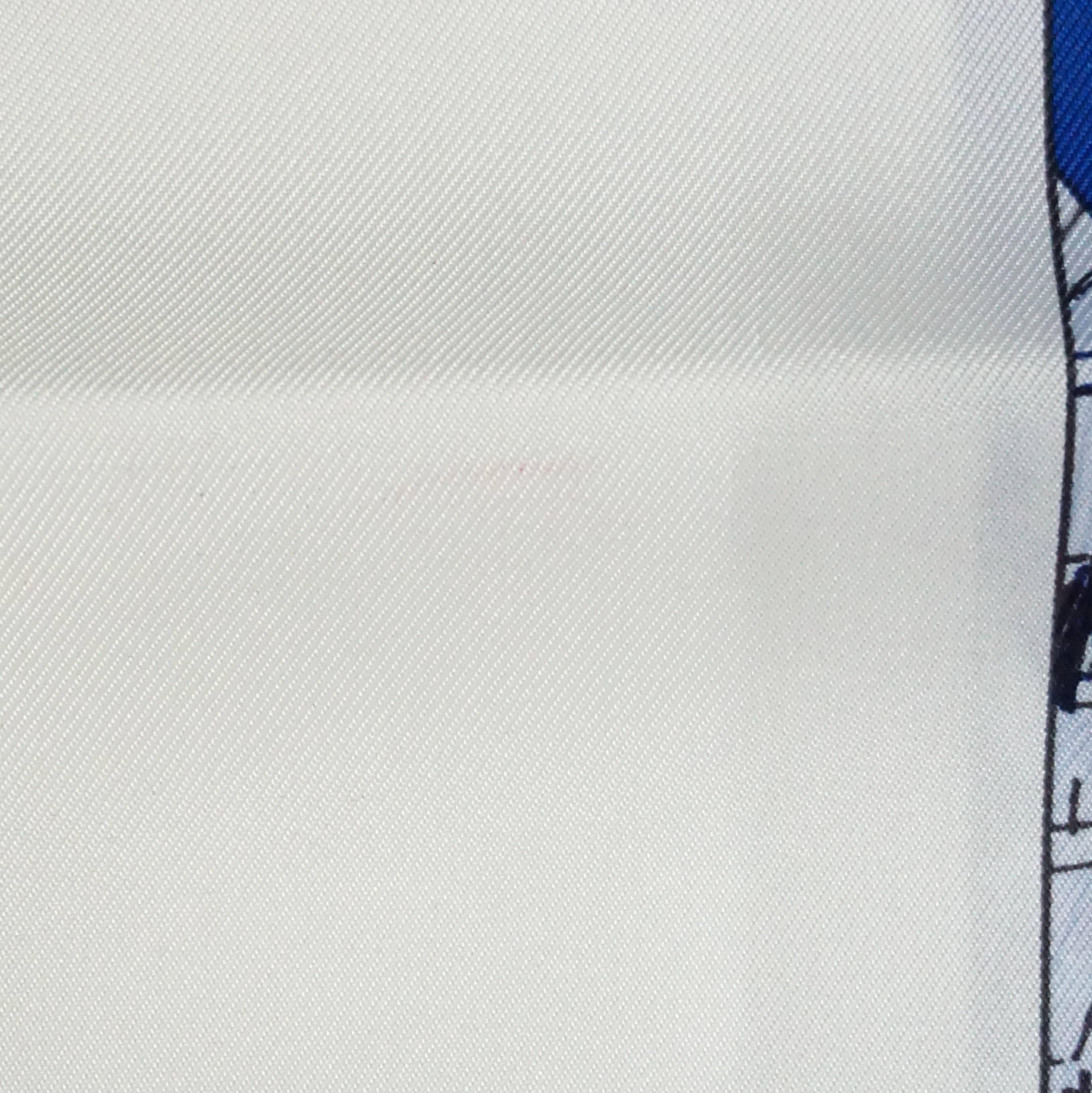 Hermes Blue and White Silk 