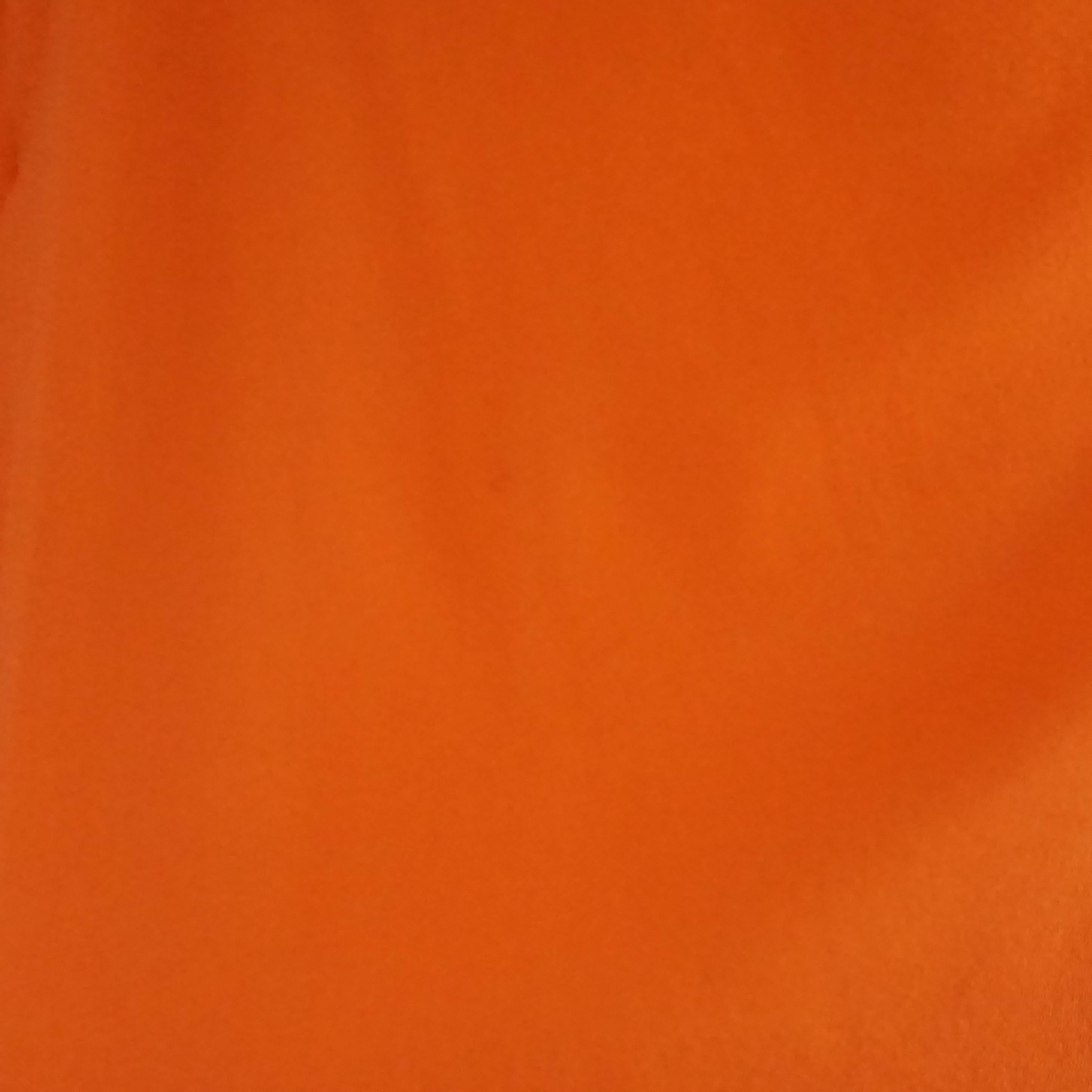 Dolce & Gabanna Orange Silk Top w/ Black Lace Bra - 38 - NWT  3