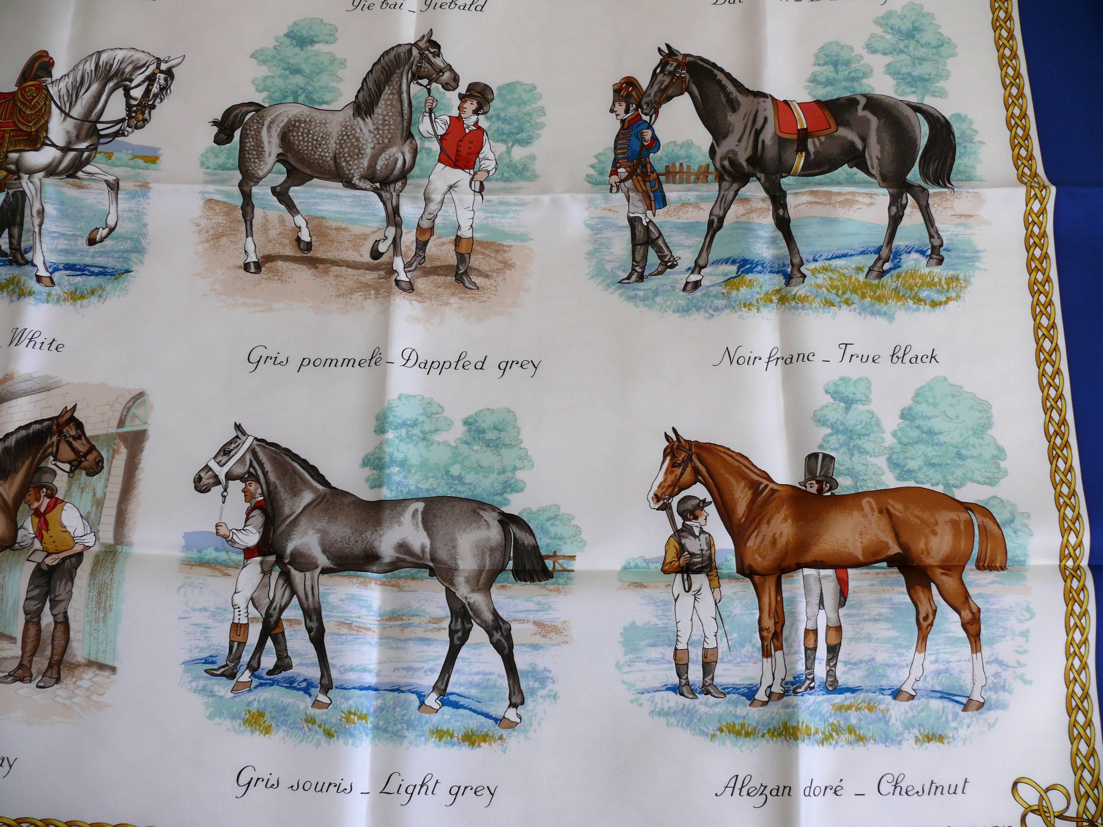 Hermes Seidenschal Carre Pferd Druck 