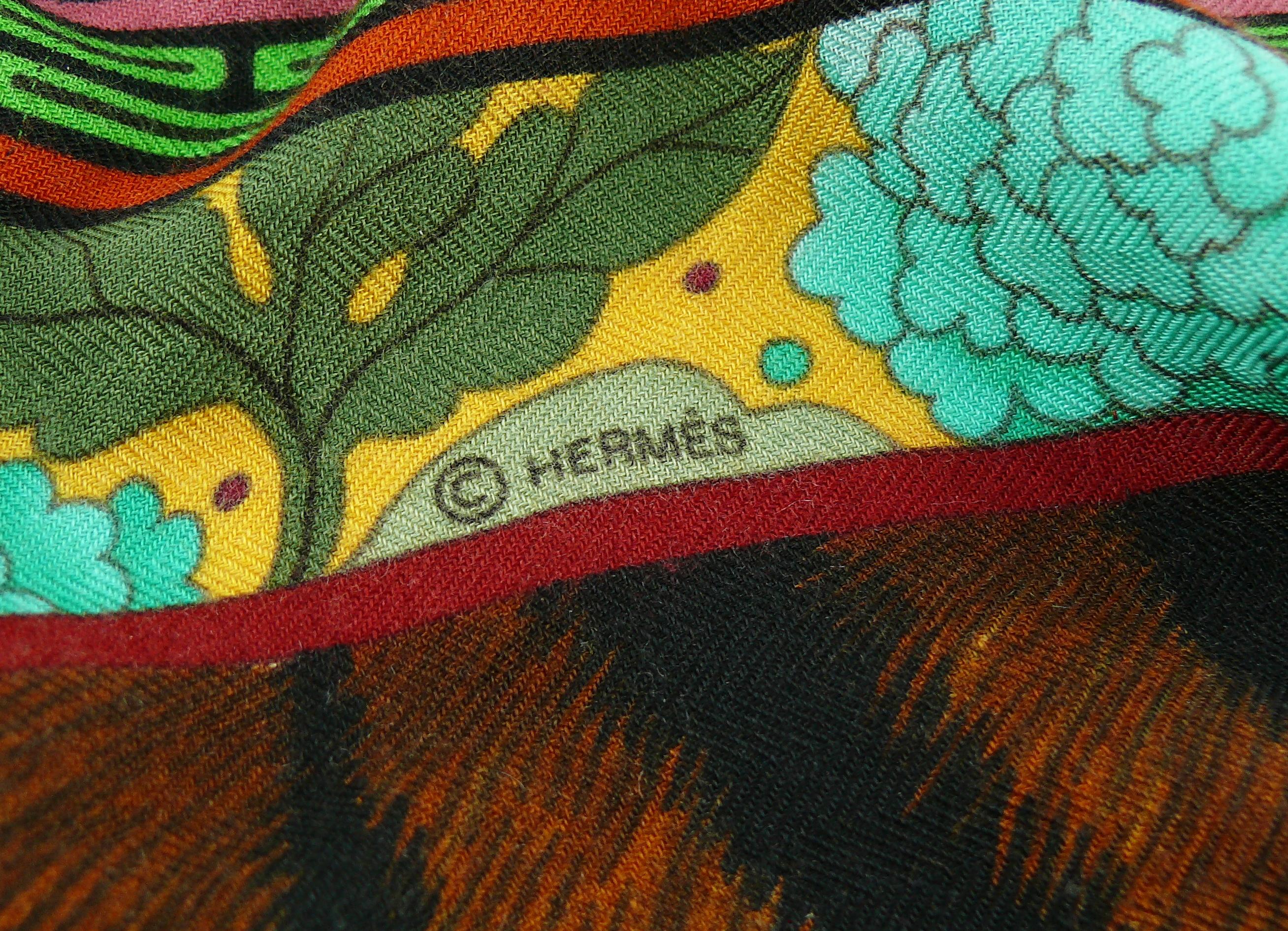 Hermes by Aline Honore Cashmere Silk La Femme Aux Semelles de Vent GM Shawl 2009 4