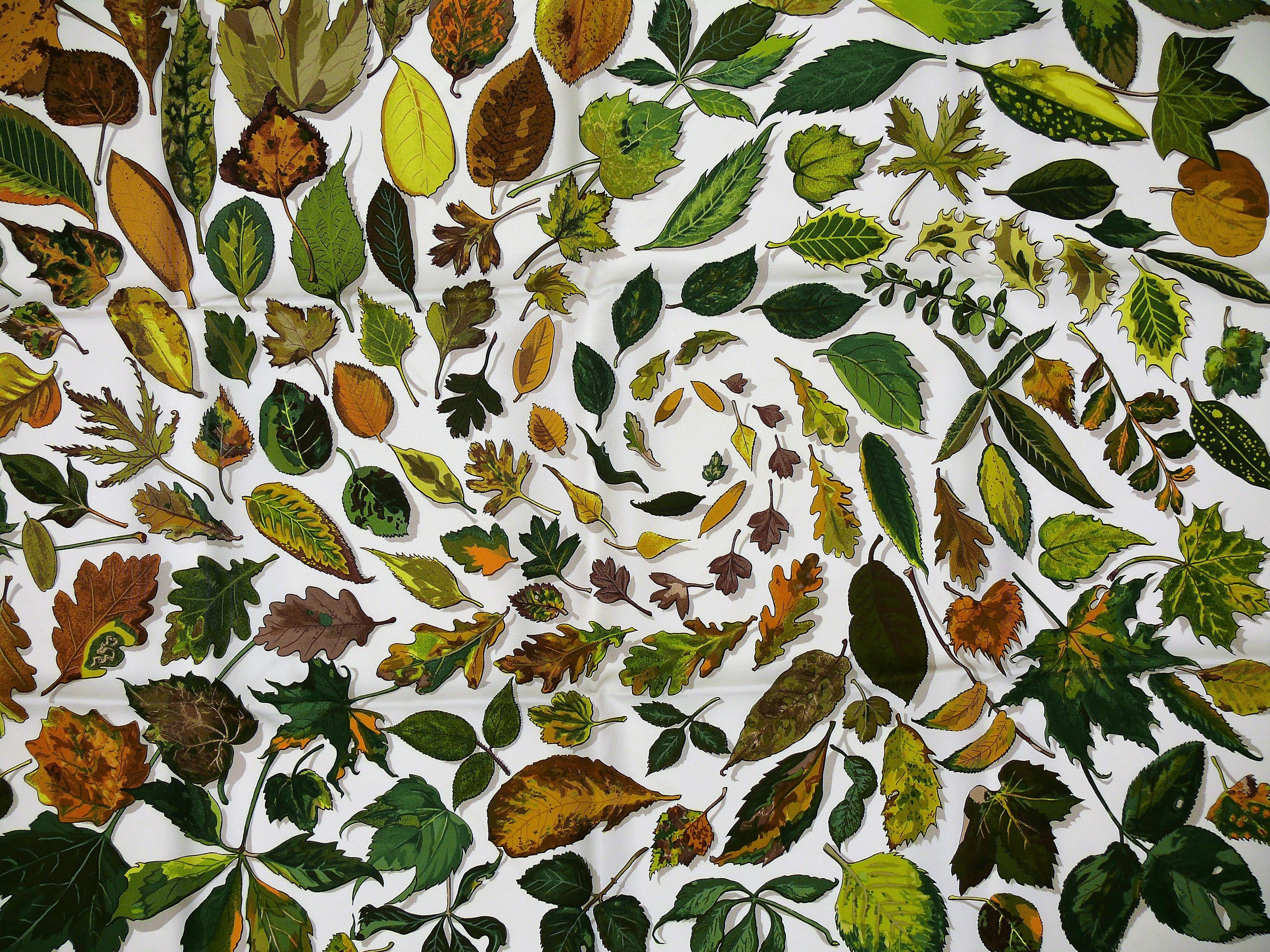 HERMES vintage silk carré scarf TOURBILLONS featuring turning autumn leaves in a concentric pattern on a white background with blue borders.

First issued in 1968 and reissued at least in 1996 and 2004 due to its popularity.

Designed by CHRISTIANE