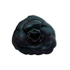 1990s Chanel navy blue Camilla flower pin with box