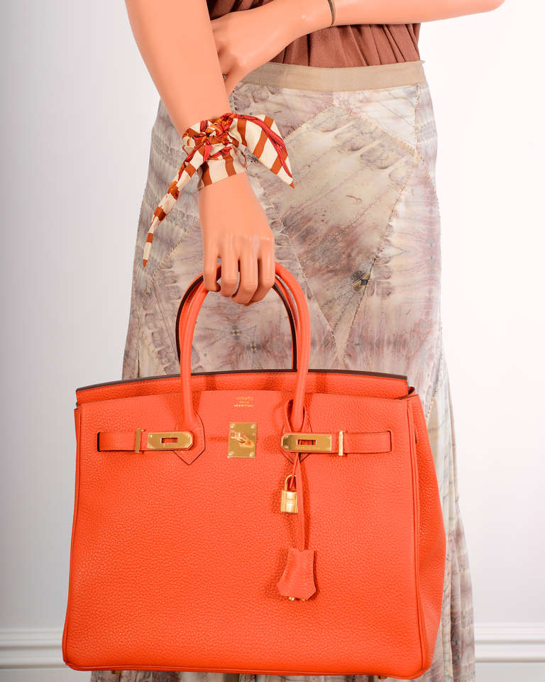 HERMES BIRKIN BAG 35cm HOT FEU FIRE ORANGE 35CM GOLD HARDWARE JaneFinds 5