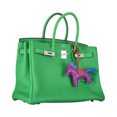 HERMES BIRKIN BAG 35CM BAMBOU BAMBOO GREEN PALLADIUM HARDWARE ON JaneFinds