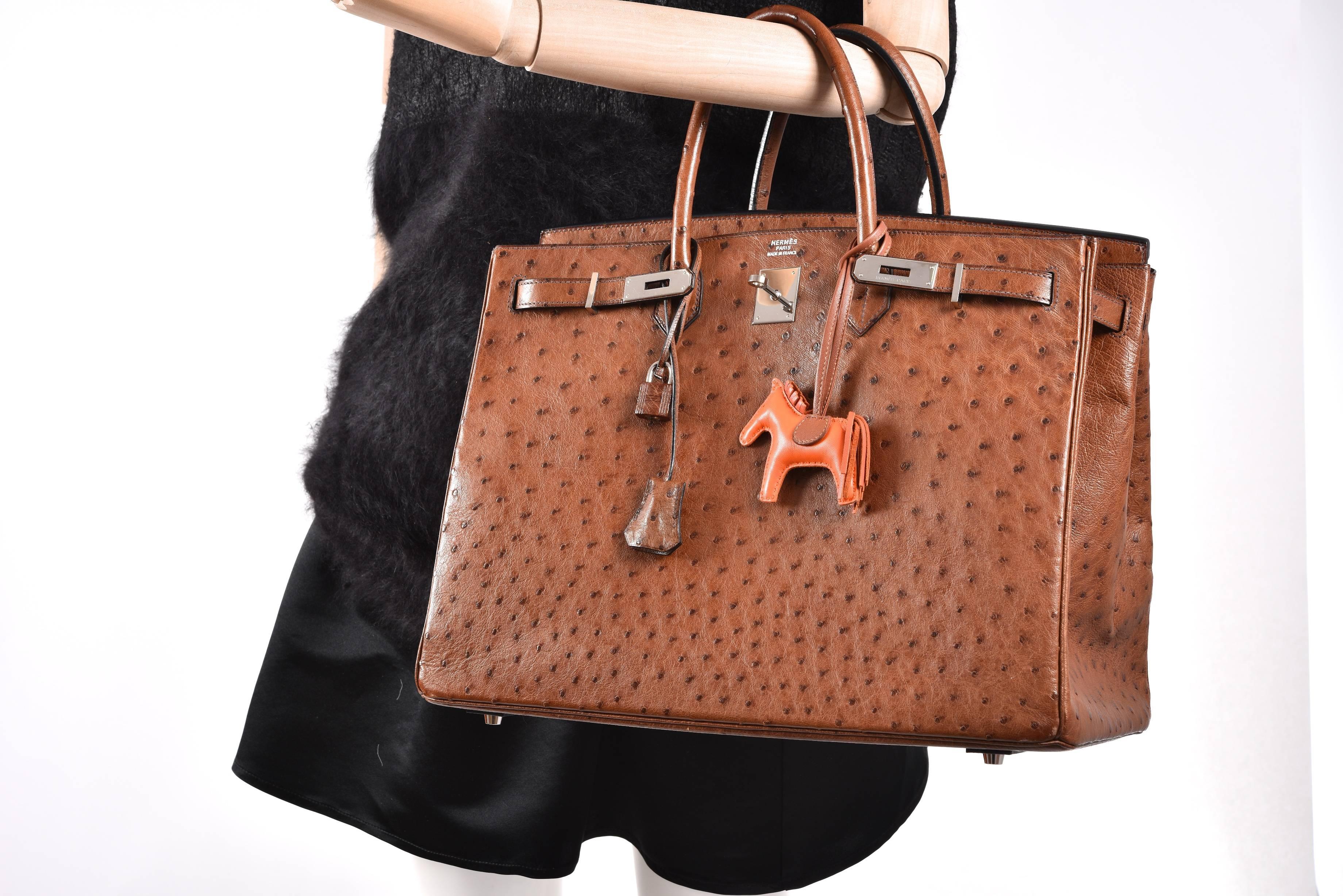Hermes 40cm Noisette Ostrich Birkin Bag with Palladium Hardware 4