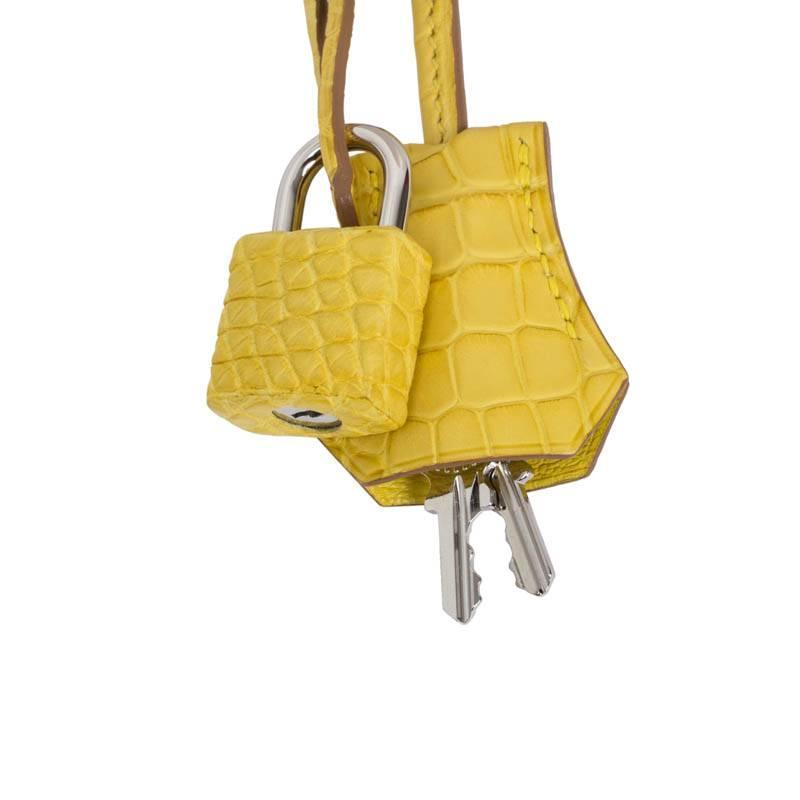Hermes 35CM Birkin Mimosa Matte Alligator Palladium JaneFinds For ...  