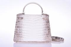 Hermes Kelly 25cm Himalayan Palladium hardware JaneFinds