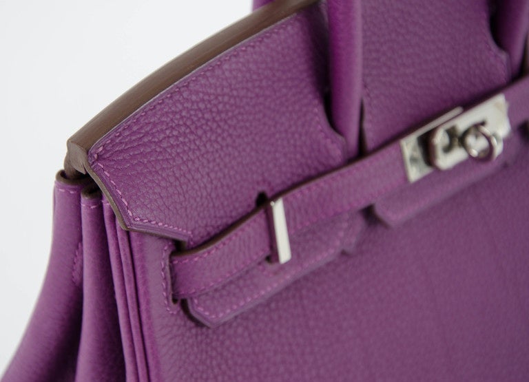 Purple NEW HERMES BIRKIN 25 Togo Anemone Palladium hardware