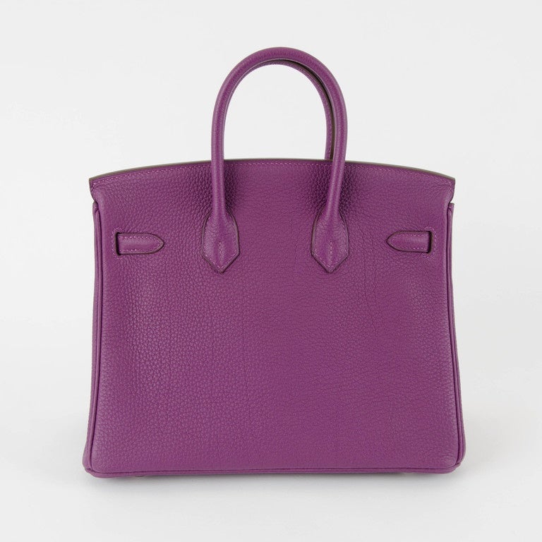Women's NEW HERMES BIRKIN 25 Togo Anemone Palladium hardware