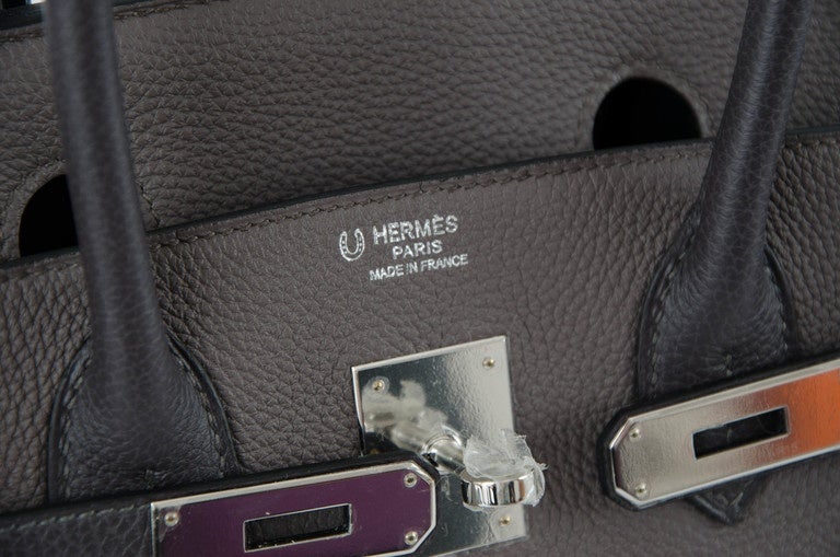 NEW HERMES BIRKIN 25 Togo Anemone Palladium hardware 2
