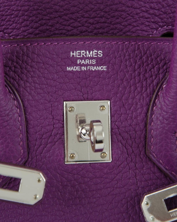 NEW HERMES BIRKIN 25 Togo Anemone Palladium hardware 3