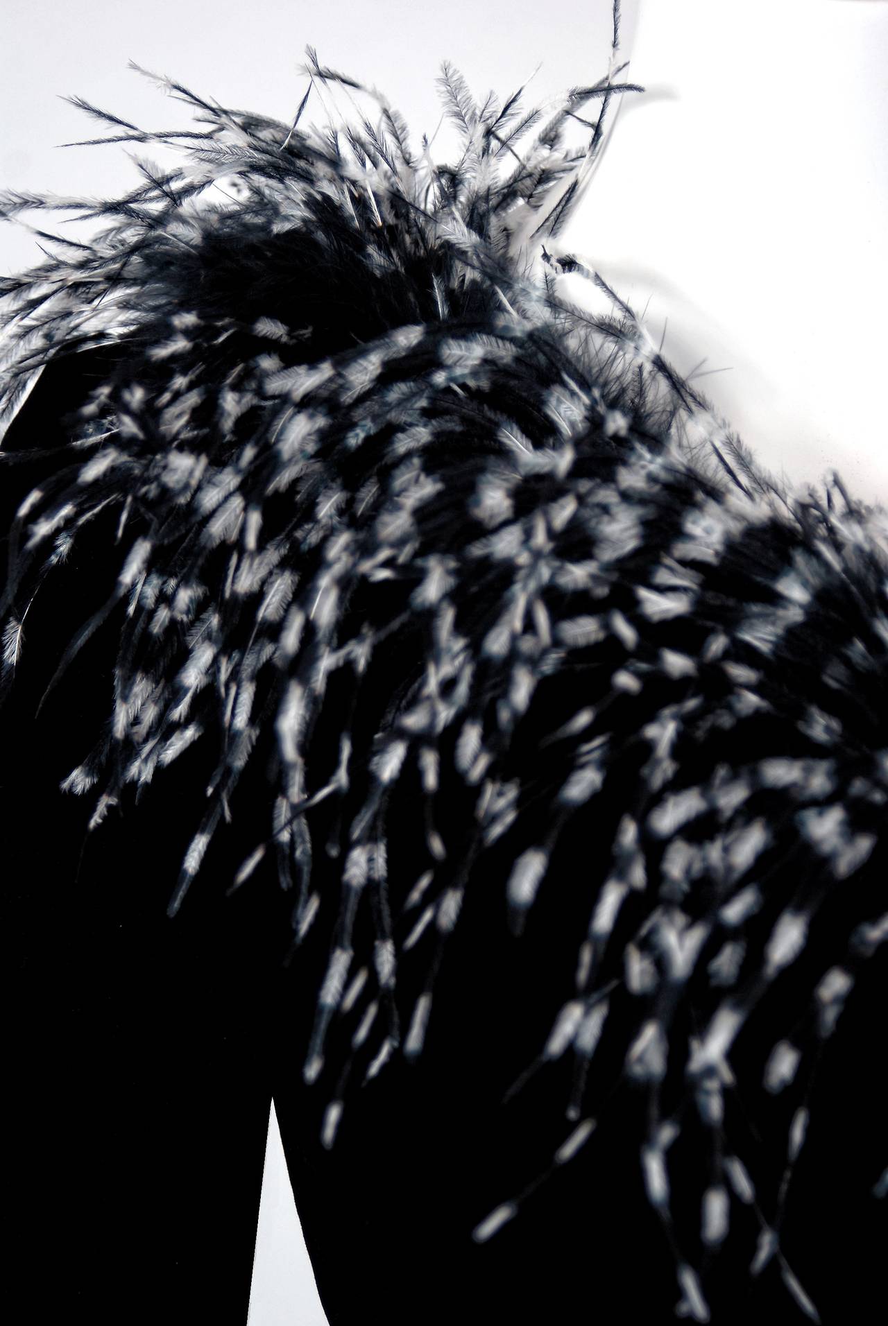 black velvet dress with feathers