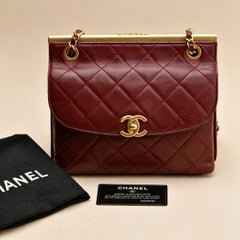 Chanel Double Sided Metal Frame Flap Bag Quilted Lambskin