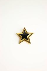Escada Gold/Black Star Brooch