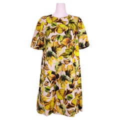 Dolce & Gabbana Leaf Print Shift Dress - EU 42