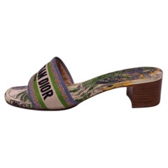 Christian Dior Dway Tropical Print Embroidered Low-Heel Slide Sandals - EU 41