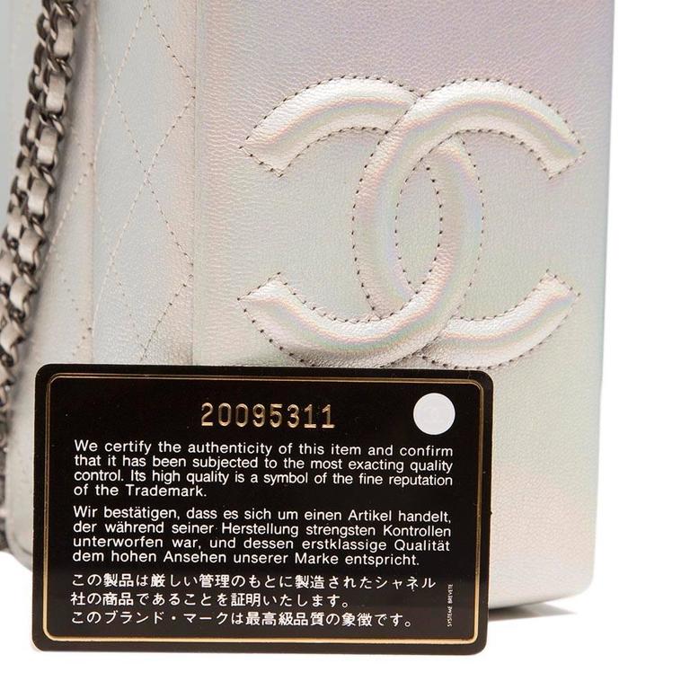 Iridescent Silver Goatskin Lait de Coco Milk Carton Bag Ruthenium Hardware,  2014, Handbags & Accessories, The Chanel Collection, 2022