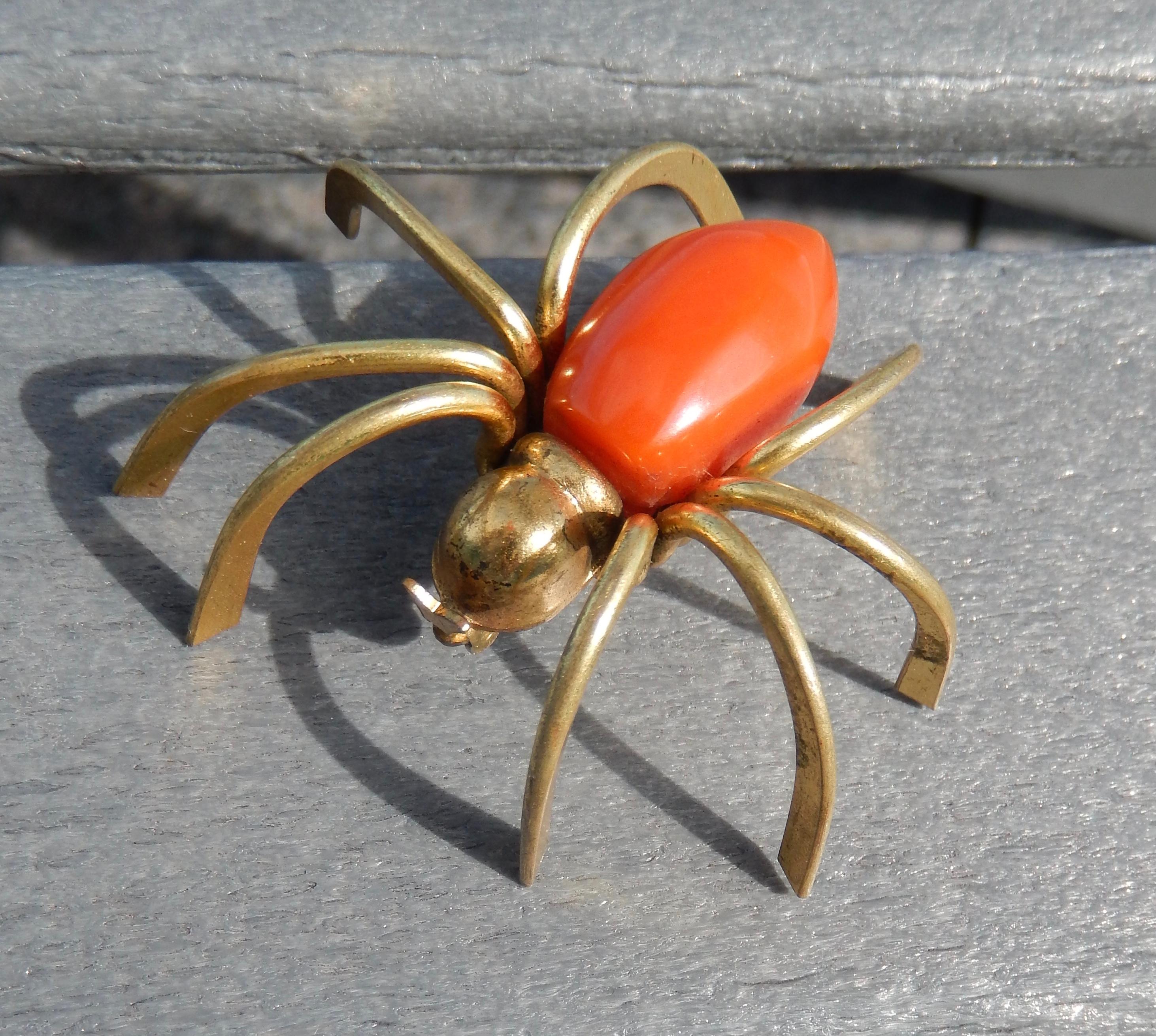 burnt orange spider