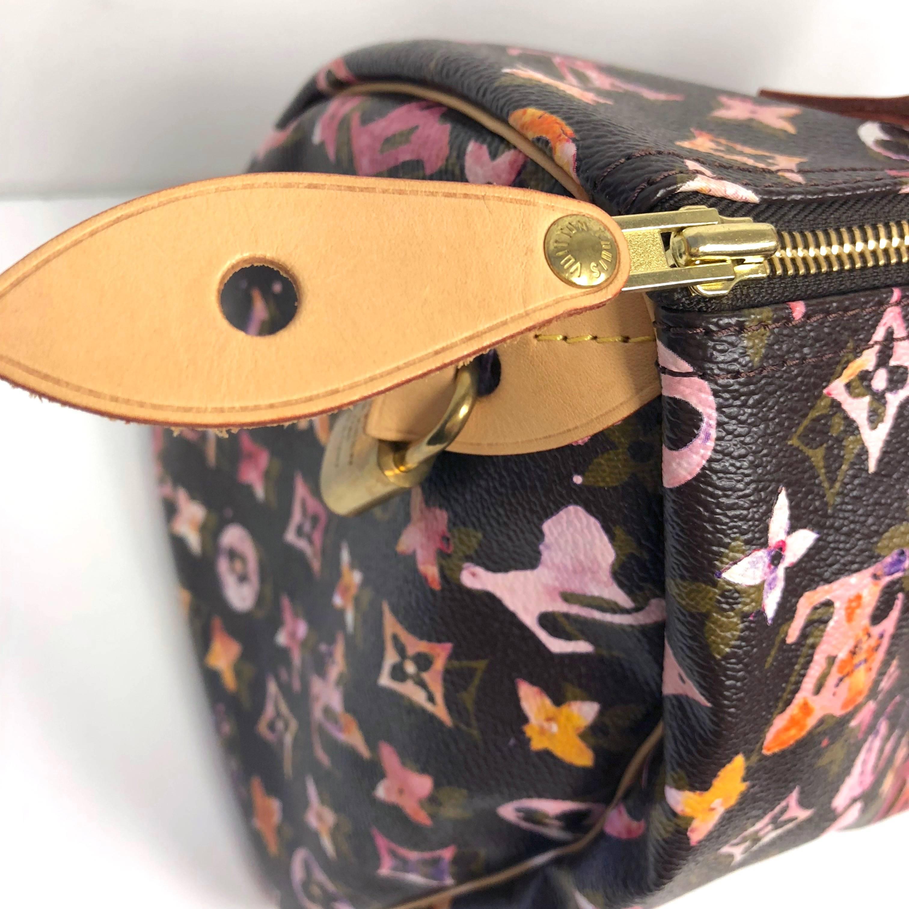 louis vuitton watercolor speedy 30