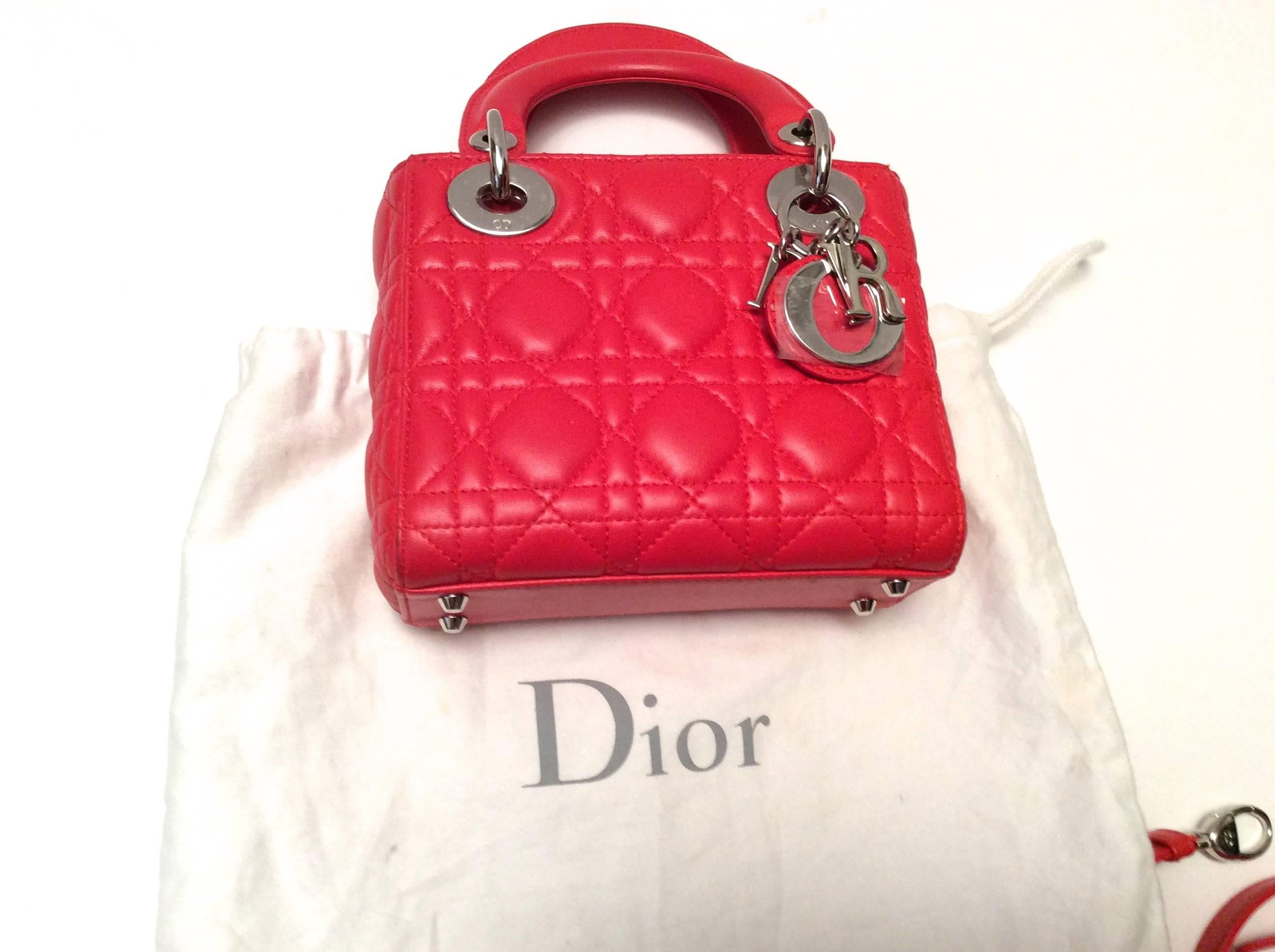 christian dior bag inside