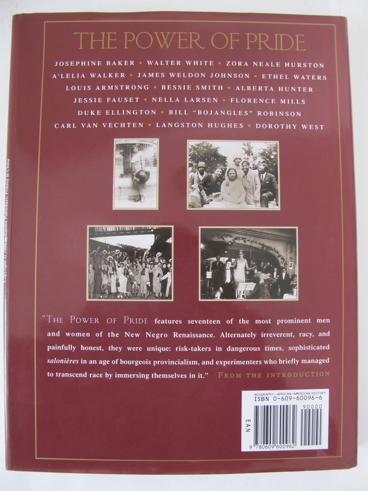 The Power of Pride is a lively, illustrated tribute to the men and women of the Harlem Renaissance (1917-1932), whose talent, perseverance and style that pioneered a cutting edge of Black America. This book includes 150 photos. First Edition.