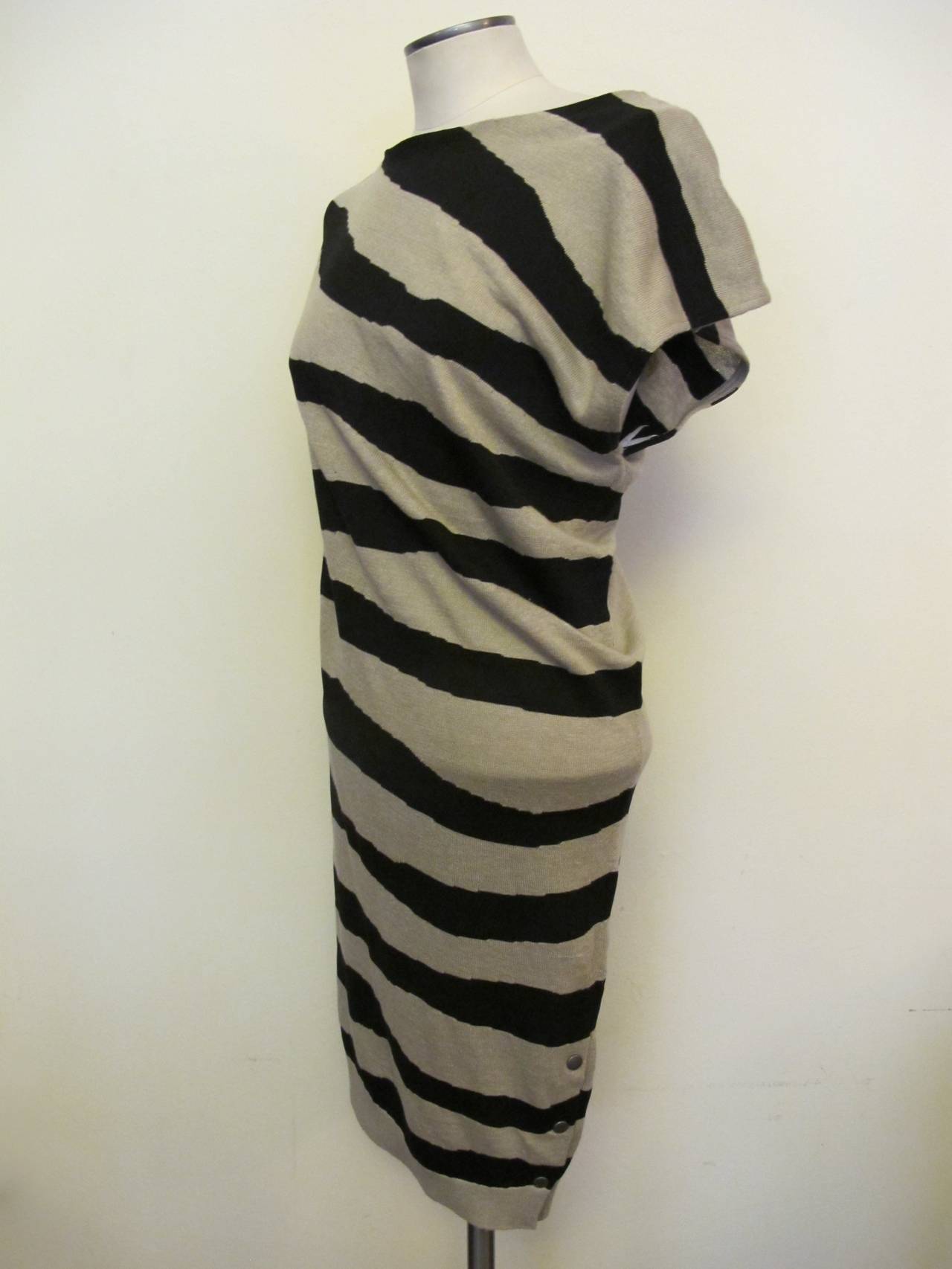 zebra striped dress
