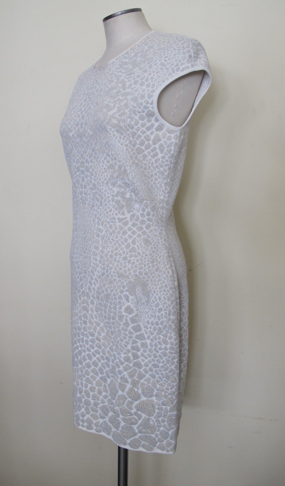 Women's New Alexander McQueen Snow Cheetah Dress For Sale