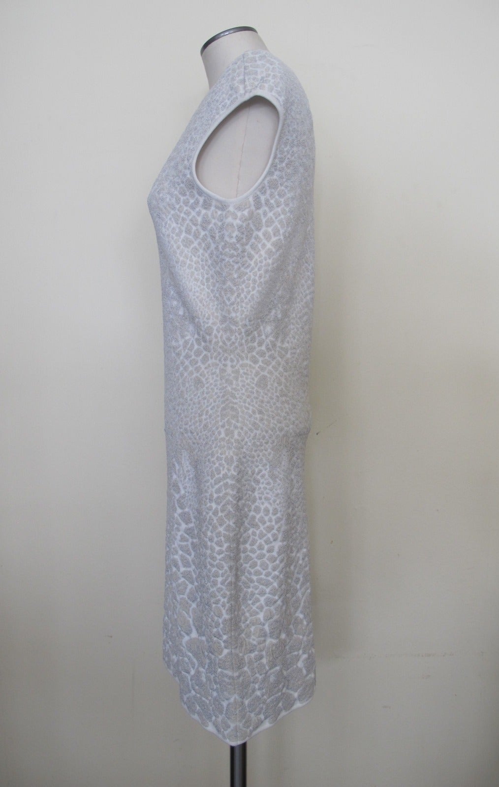 New Alexander McQueen Snow Cheetah Dress For Sale 1