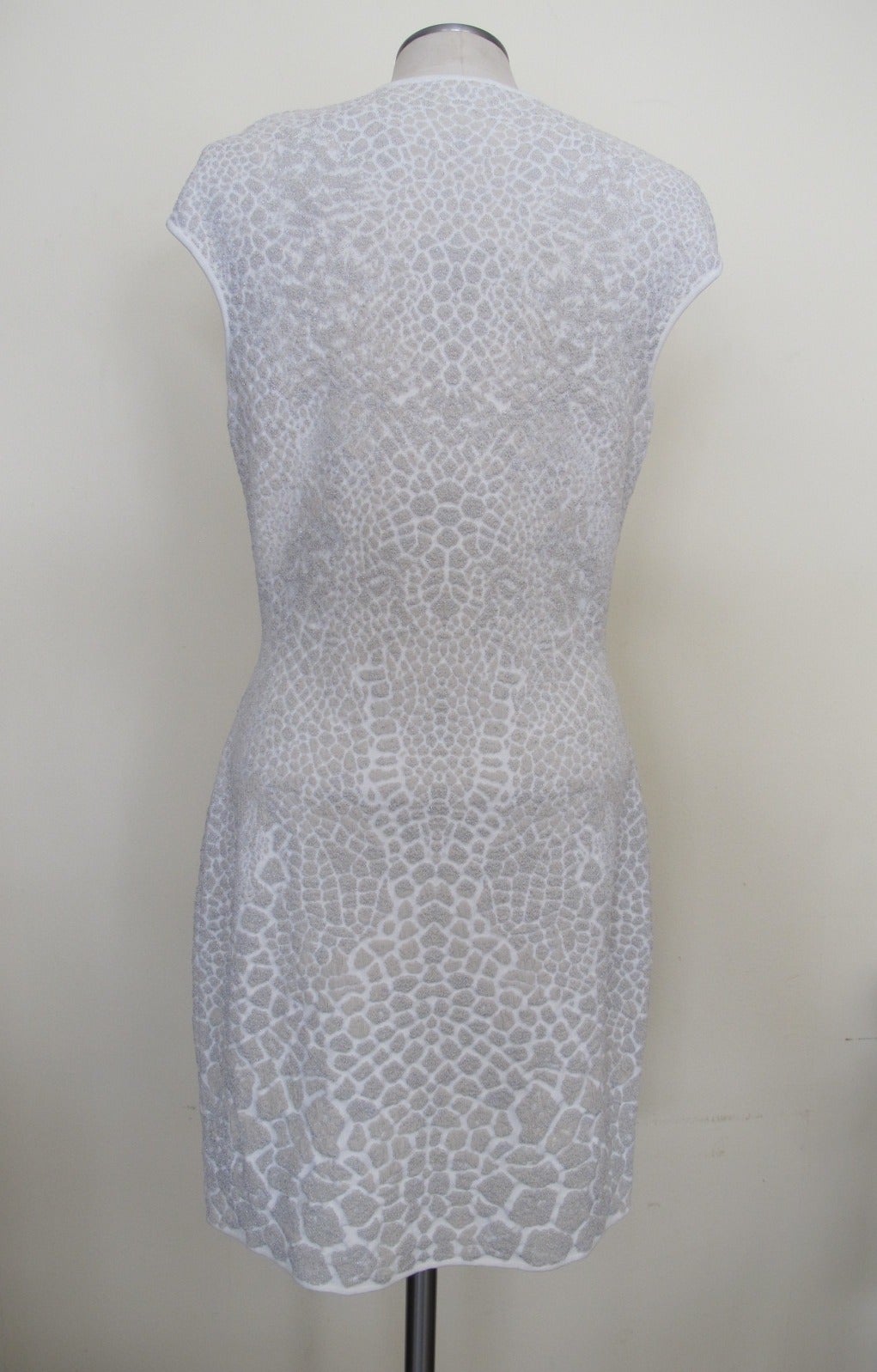 New Alexander McQueen Snow Cheetah Dress For Sale 2