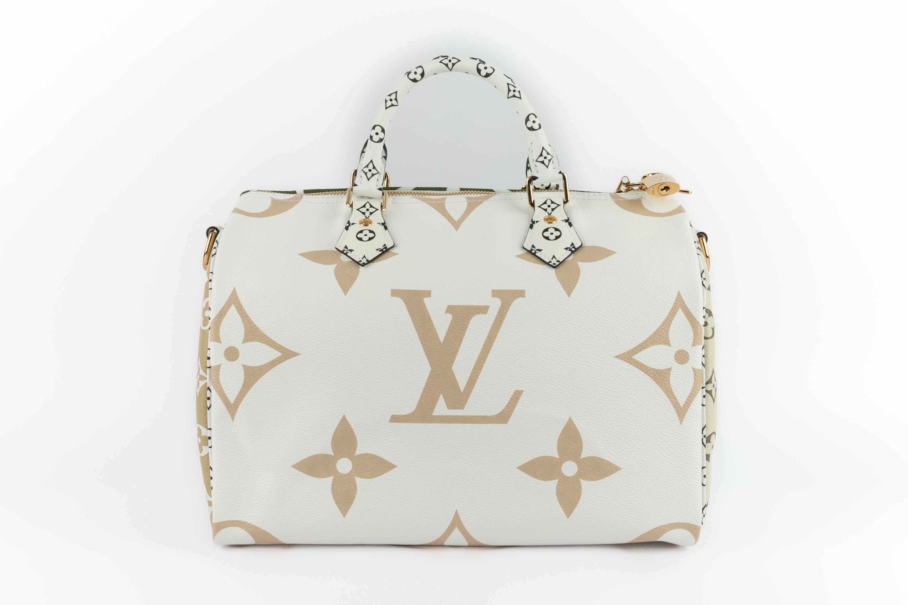 Louis Vuitton 30 Speedy Tasche 2019 limitierte Auflage für Damen oder Herren im Angebot