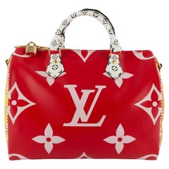 Louis Vuitton 30 Speedy bag 2019 limited edition