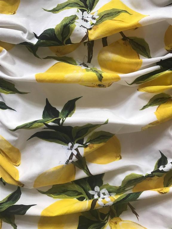 dolce gabbana lemon swimsuit