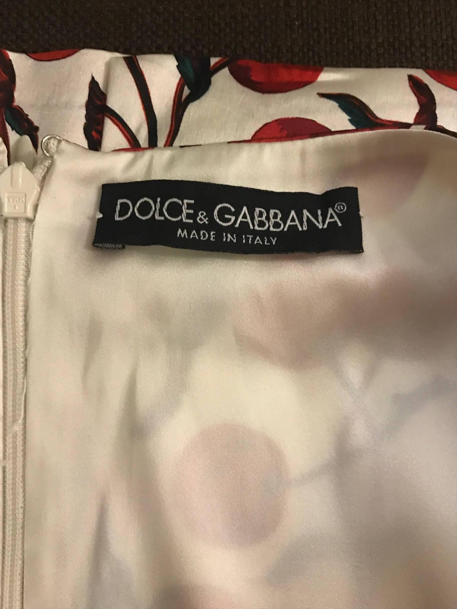 dolce and gabbana cherry dress