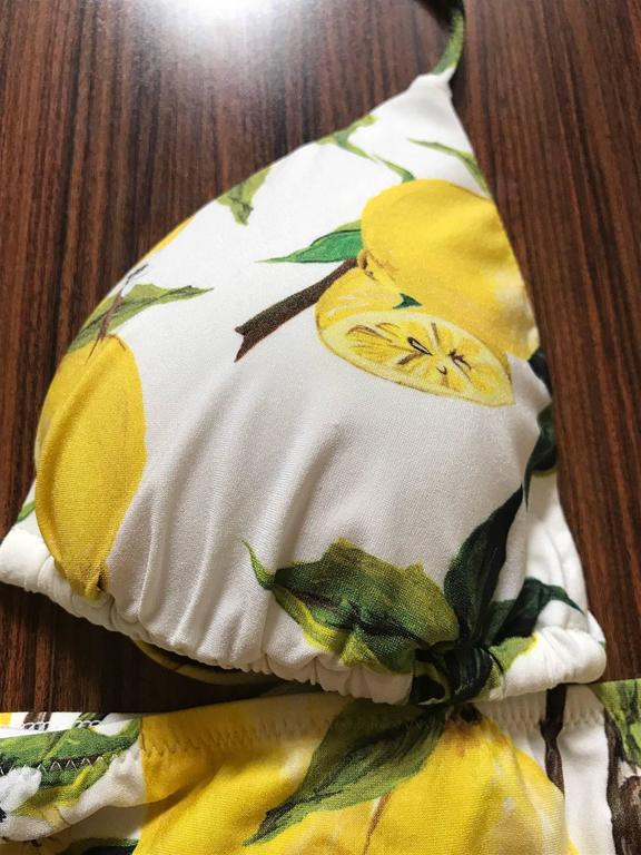 dolce gabbana lemon swimsuit