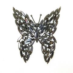 Cristobal Crystal Butterfly Brooch