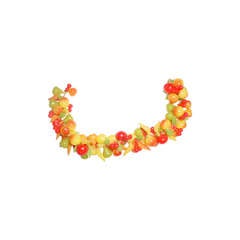 Vintage Fruit Salad Plastic Bracelet