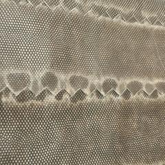 Bottega Veneta New Lizard Skin IPad Tablet Tech Accessory Case in Box