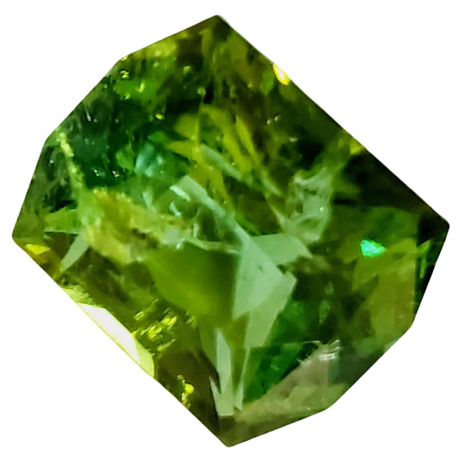 Women's or Men's 12.70ct Octagonal Cut Mint Green Tourmaline Loose Gemstone  For Sale