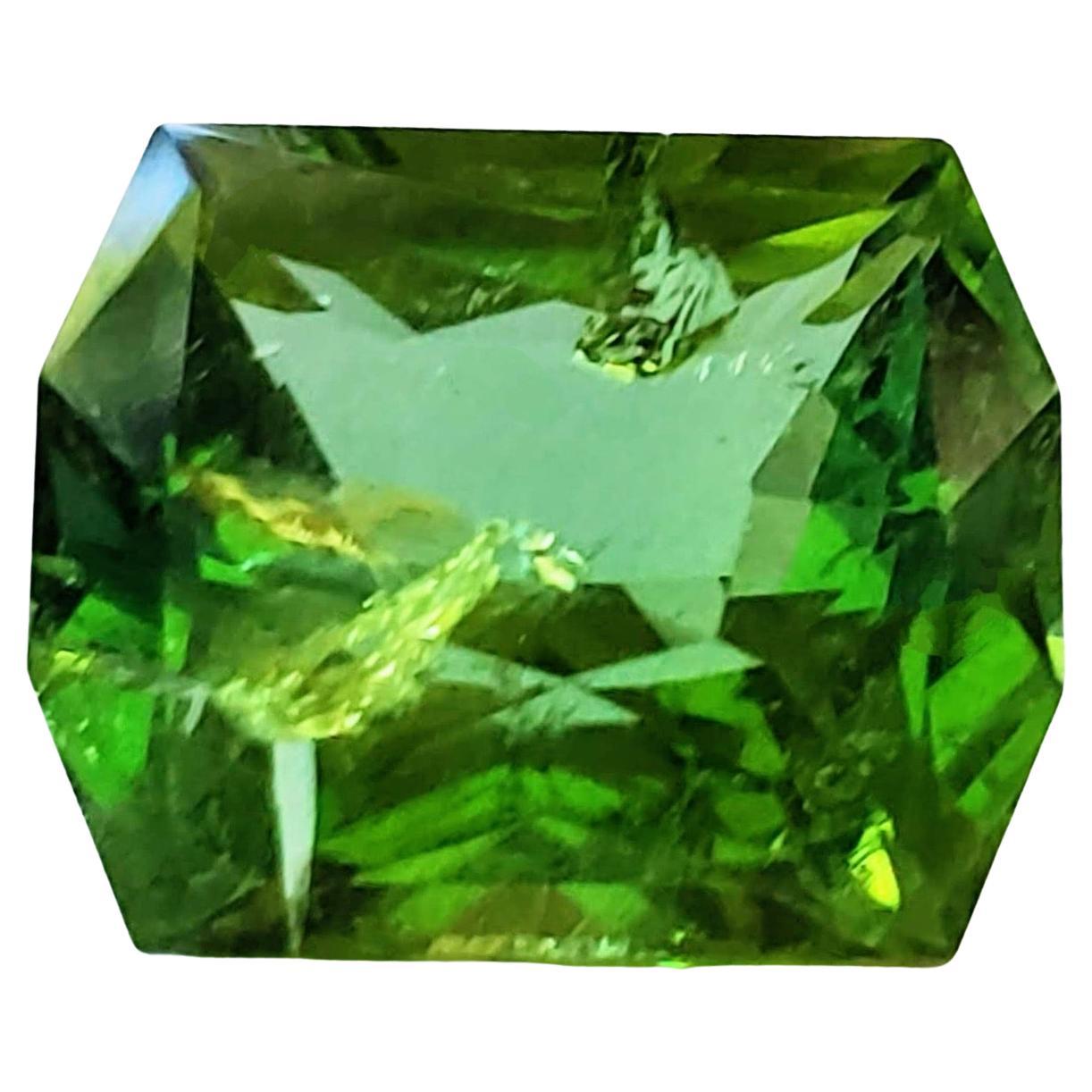 Hexagon Cut 12.70ct Octagonal Cut Mint Green Tourmaline Loose Gemstone  For Sale