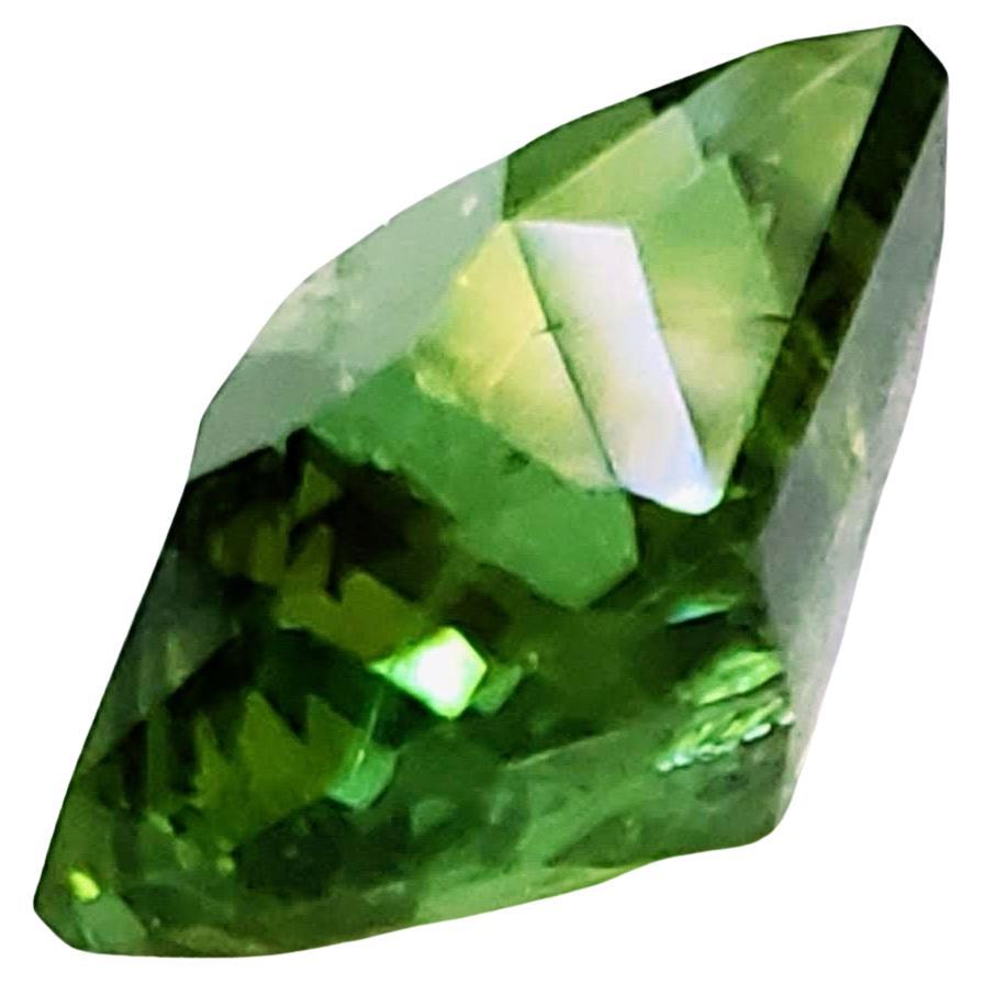12.70ct Octagonal Cut Mint Green Tourmaline Loose Gemstone  For Sale 1