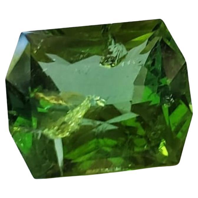 The beauty of this gemstone is its heavy internal inclusions.  Behold the natural enchantment of our 12.70ct Octagonal Mint Green Inclusion Tourmaline—a gemstone that captures the imagination with its unique beauty and character. This remarkable