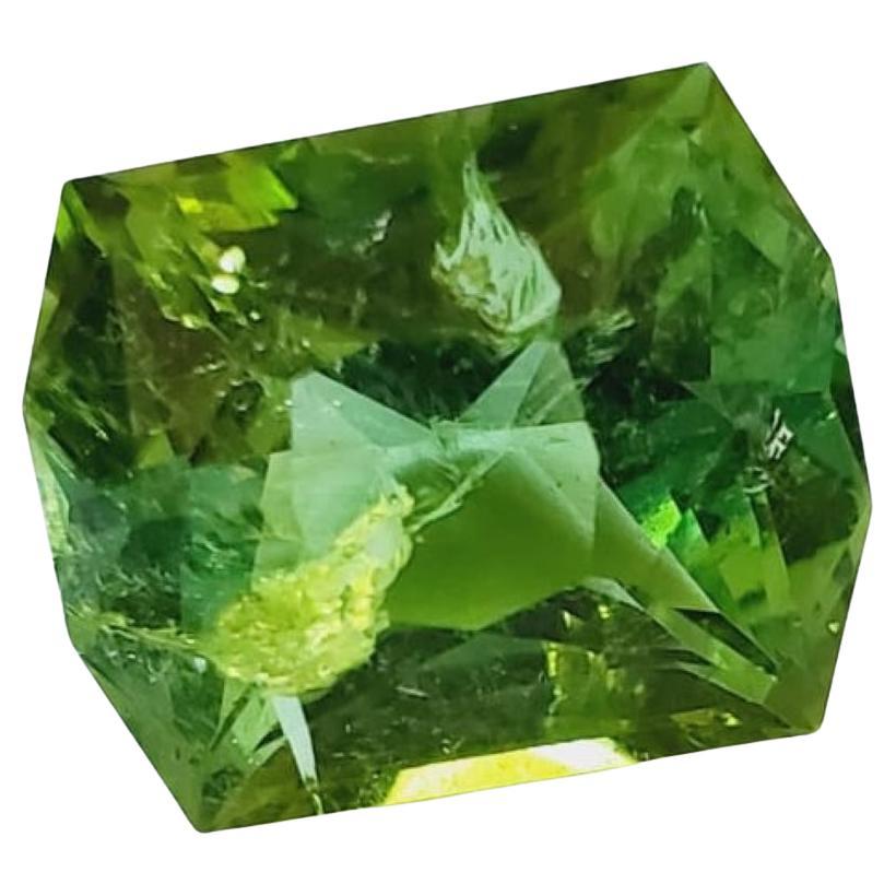 12.70ct Octagonal Cut Mint Green Tourmaline Loose Gemstone  For Sale