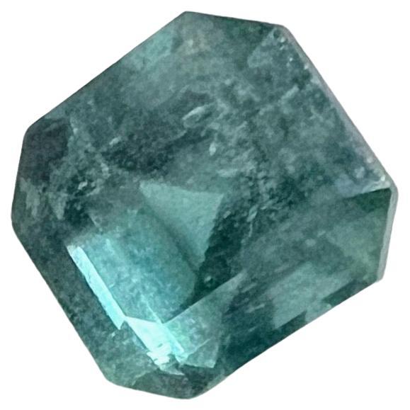 Dévoilez l'enchanteresse pierre d'émeraude non huilée de 0,80ct Natural Blueish Green Emerald Cut - un petit chef-d'œuvre qui redéfinit l'élégance. Cette pierre précieuse, d'une clarté troublante, vous invite à explorer les profondeurs de ses tons